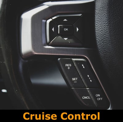 2019 Ford Expedition Max Platinum