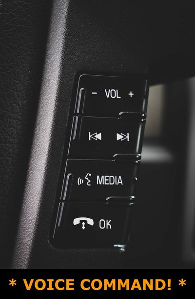 2010 Ford F-150 XLT
