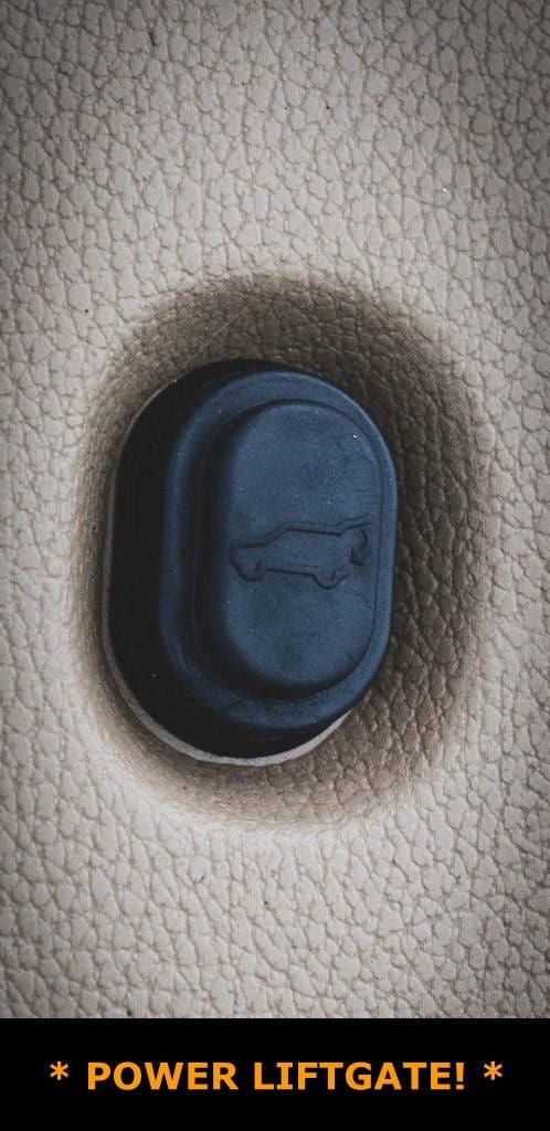 2020 Cadillac Escalade ESV Platinum Edition