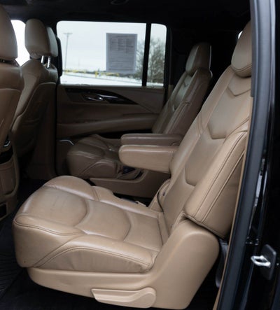 2020 Cadillac Escalade ESV Platinum Edition