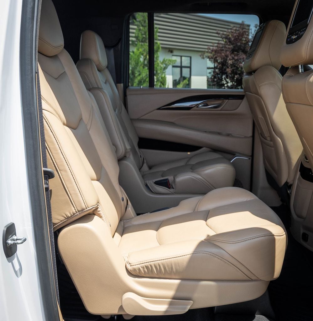 2019 Cadillac Escalade ESV Platinum Edition